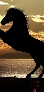 Silhouette of a horse against a sunset sky, capturing nature's elegance.