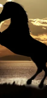 Horse silhouette against a vibrant sunset sky.