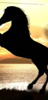 Silhouette of a horse rearing against a golden sunset on a mobile wallpaper.