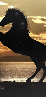 Silhouette of a horse against sunset backdrop on the beach.