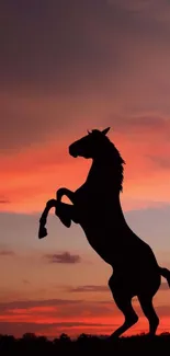 Horse silhouette against a dramatic sunset sky, perfect for mobile wallpaper.