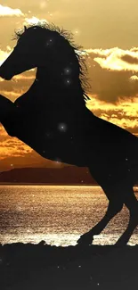 Silhouette of a horse against a vibrant sunset.