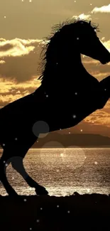 Silhouette of a majestic horse rearing at sunrise.