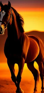 Silhouette of a horse against a vibrant orange sunset.