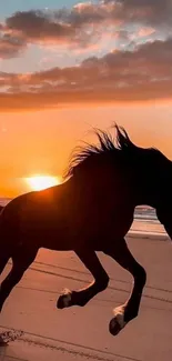 Majestic horse running on a beach at sunset with an orange sky.