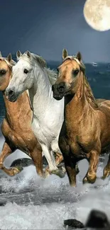 Three majestic horses running by the beach under a full moon at night.