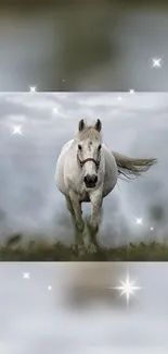 White horse galloping under a starry sky.