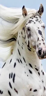 Majestic dappled horse with flowing mane.