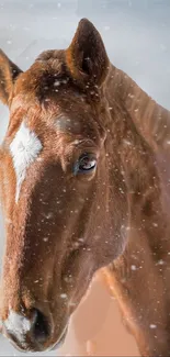 Brown horse in a snowy winter setting, capturing nature's beauty.