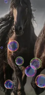 Majestic black horse with colorful bubbles background.