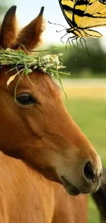 A peaceful horse with a floral crown and butterfly.