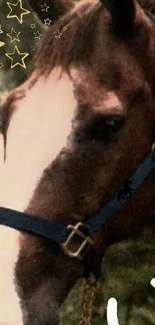 A horse with a blue halter surrounded by golden stars on a mobile wallpaper.