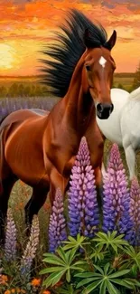 Beautiful horses amidst colorful lupines at sunset.