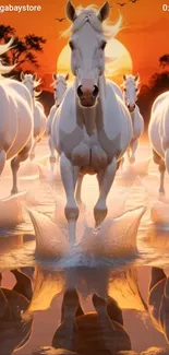 Horses running through water at sunset.