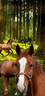 Horses roam freely in a sunlit, lush green forest.