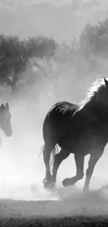 Grayscale image of horses running gracefully in mist.