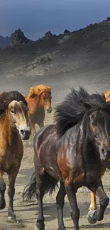 Wild horses running across a rugged mountain landscape.