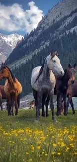 Horses grazing in a mountain valley with wildflowers.