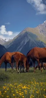 Horses grazing in a scenic mountain landscape