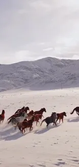 Horses running through snowy mountain landscape with cloudy skies.