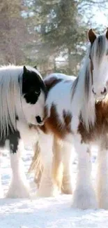 Two majestic horses in a snowy winter landscape.