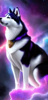 Majestic husky in a purple cosmic space, creating a captivating mobile wallpaper.