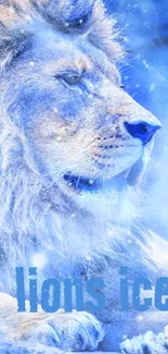 Majestic lion rests in an icy blue scene wallpaper.