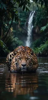 Jaguar prowling through a forest stream with a waterfall backdrop.