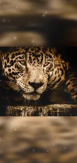 Close-up of majestic jaguar on dark backdrop, perfect for wallpaper.