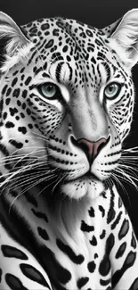 Black and white leopard art wallpaper for mobile.