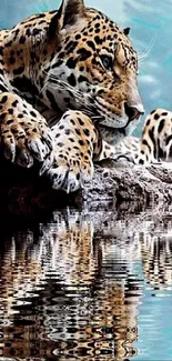 Majestic leopard gazing into a lake reflection on a mobile wallpaper.