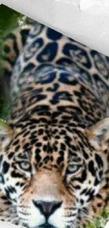 Close-up of a majestic leopard in a vivid jungle setting.