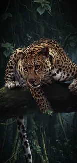 Majestic leopard lying on jungle tree branch wallpaper.