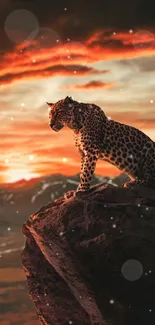 Leopard on cliff at sunset with vibrant sky.