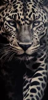 Majestic leopard walking in darkness, striking detail.