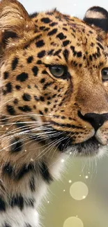 Close-up portrait of a leopard with a blurred natural background.