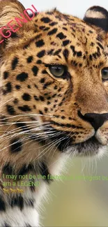 Close-up of a majestic leopard with a focused gaze and spotted coat.