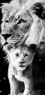 Black and white wallpaper of a majestic lion and cub, perfect for mobile screens.