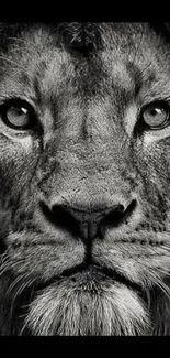 Black and white majestic lion face closeup for mobile wallpaper.