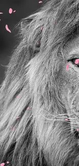 Majestic lion portrait in black and white, showcasing elegance.