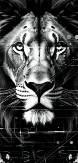 Black and white artistic lion head wallpaper with striking design.