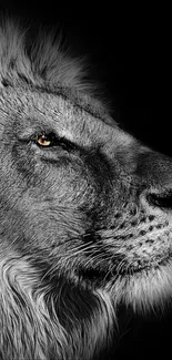 Majestic lion head in black and white with striking details.