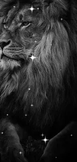 Majestic black and white lion portrait wallpaper.