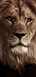 Close-up of a majestic lion with a deep brown color palette and intense eyes.