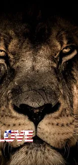 Close-up of a lion with 'LOVE' text in American flag colors.