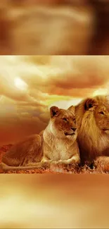 A majestic lion couple resting under a dramatic sky in the savannah.