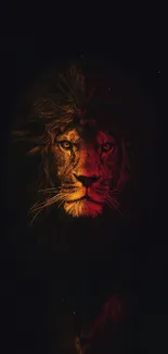 Majestic lion portrait on a dark background.