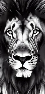 Black and white detailed lion face wallpaper.