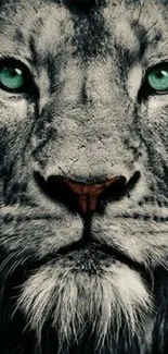 Close-up of lion face with green eyes in grayscale wallpaper.