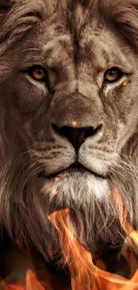 Majestic lion with fiery flames background, ideal phone wallpaper.